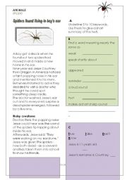 English Worksheet: Spider in boy´s ear