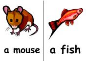 English worksheet: flashcard animals