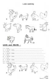 English worksheet: Look and wrte