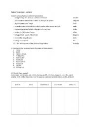 English worksheet: animal vocabulary