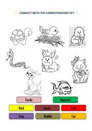 English Worksheet: Pets