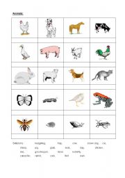 English worksheet: Animals 1