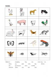 English Worksheet: Animals 1