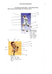 English worksheet: Parts of teh body