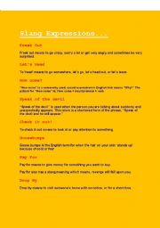 English worksheet: Slang Expressions