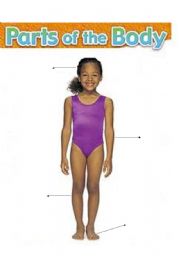 English Worksheet: Parts of the body