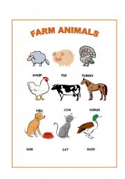 English worksheet: Farm animals