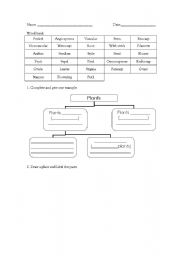 English worksheet: plant test