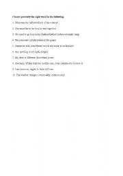English Worksheet: grammar quiz