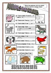 Animals and colours elementary worksheet