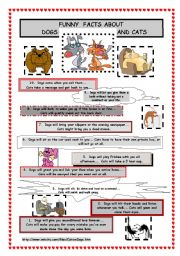 English Worksheet: Funny facts about dogs and cats - reading