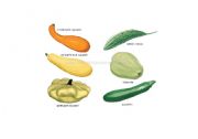 English worksheet:  fruits and vegetables 3/6