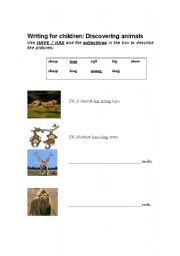 English worksheet: Discovering animals