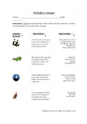 English worksheet: Animals in danger