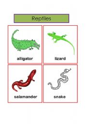 English Worksheet: reptiles