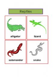 English worksheet: reptiles