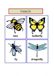 English worksheet: insects