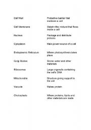 English Worksheet: Parts of the Cell vocabulary cards