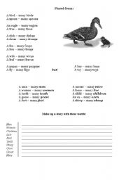 English worksheet: Plural Form