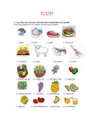 FOOD VOCABULARY_SOME AND ANY ACTIVITIES INCLUDED_4PAGES