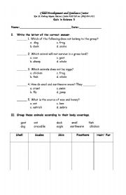 English worksheet: quiz