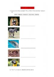 English worksheet: wild animals