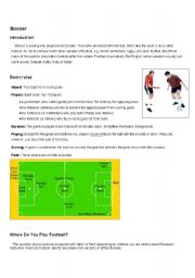 English worksheet: Learning about Soccer