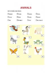 English worksheet: Animals