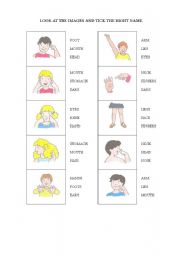 English Worksheet: Human body