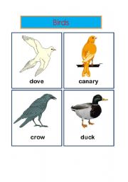 English worksheet: animals