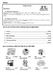 English Worksheet: simple present worksheet