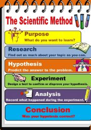 English Worksheet: The Scientific Method