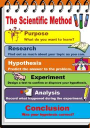 English Worksheet: The Scientific Method