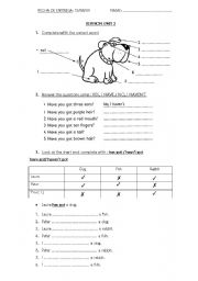 English Worksheet: revision parts of the body has got have got