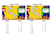 English worksheet: Body Crossword