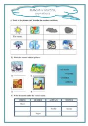 English Worksheet: SEASONS AND WEATHER CONDITIONS