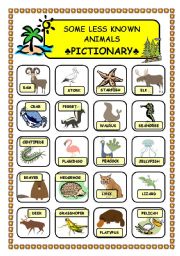 English Worksheet: Less known animals pictionary