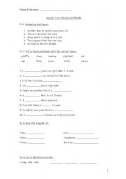 English worksheet: An English test on Nouns.