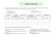 English worksheet: Tenses in the past - how to form correct tense forms 