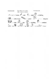English Worksheet: Choose the correct form of the article