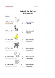 English Worksheet: HOMEWORK - FARM ANIMALS