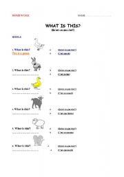 English worksheet: HOMEWORK - FARM ANIMALS