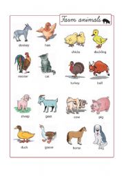 English Worksheet: Farm Animals