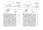 English Worksheet: Human Body