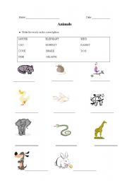 English worksheet: Animals