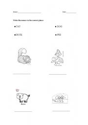 English worksheet: Animals