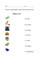 English Worksheet: What is it ? 2