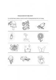 English worksheet: What does not belong?