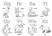 English Worksheet: Animal Alphabet Cards  Q - X