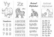 Animal Alphabet Cards  Y - Z